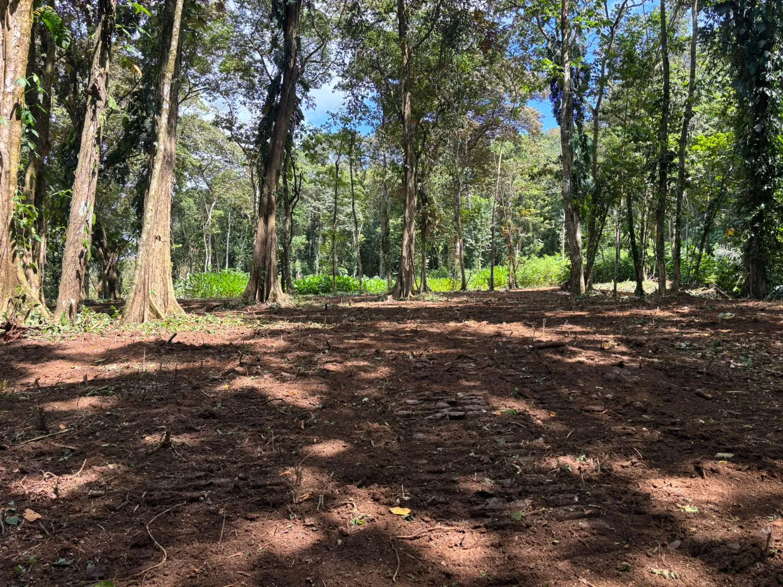 Mountain Retreat, Pavones Beach, Higo Hills, Properties