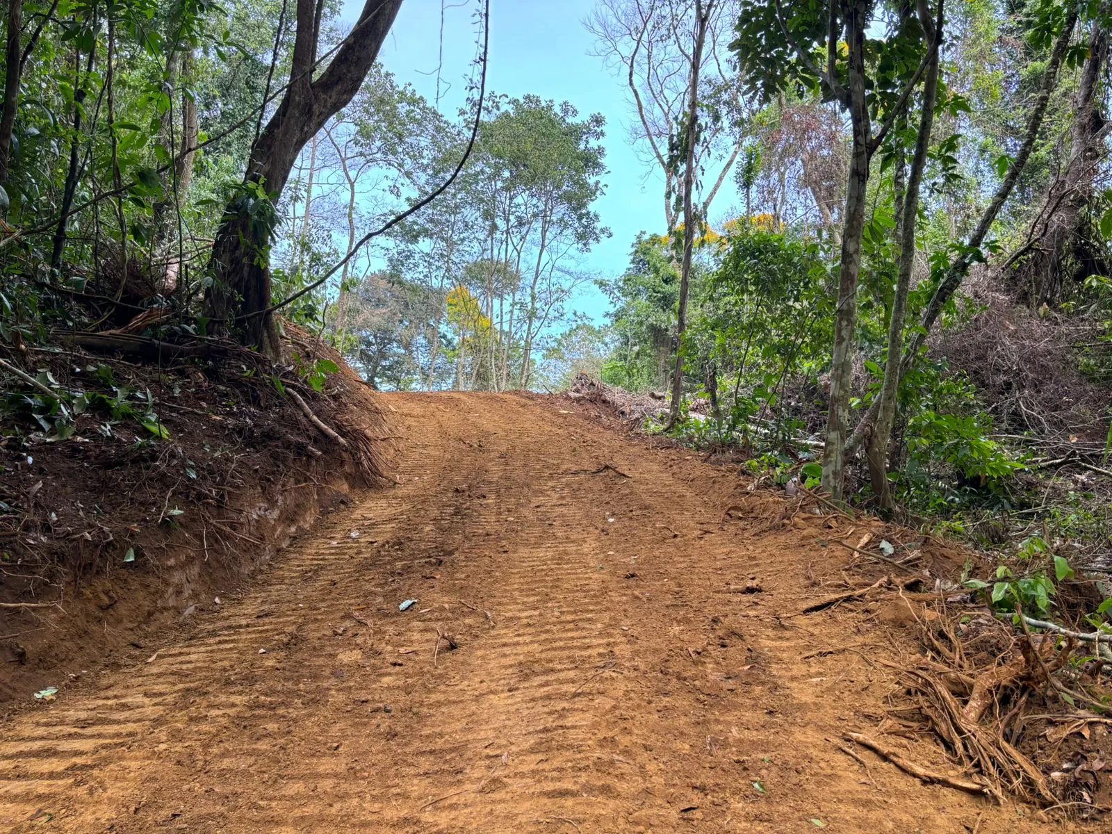 Ocean Bliss, Pavones Beach, Higo Hills, Properties
